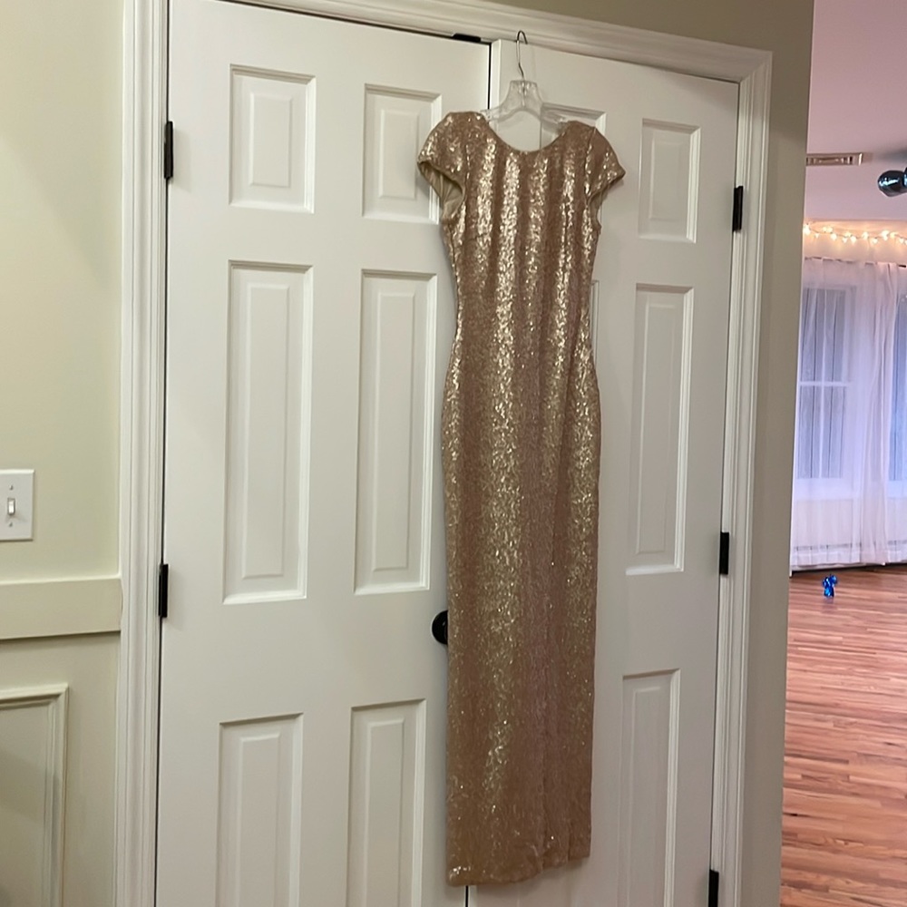 Dress the Population Teresa Body Con Dress